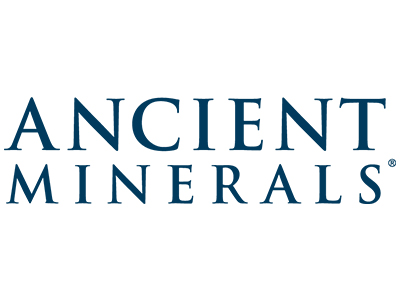 ancient minerals logo